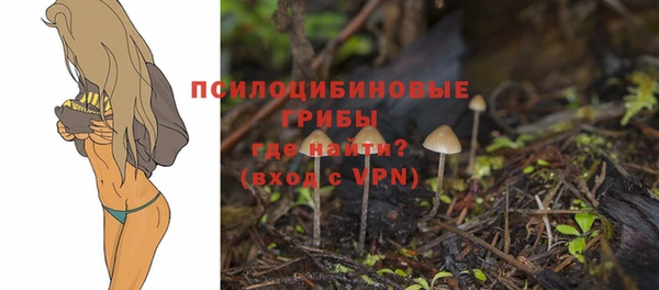 мдпв Гусь-Хрустальный