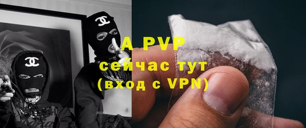мдпв Гусь-Хрустальный