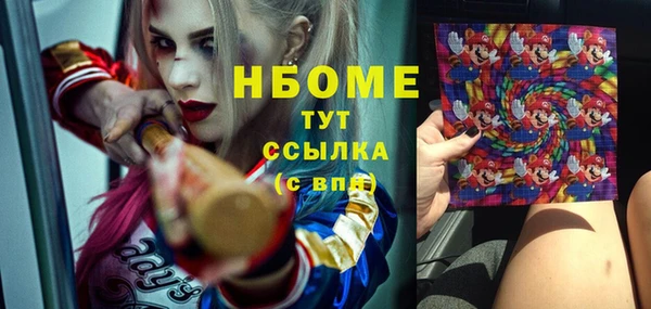 мдпв Гусь-Хрустальный