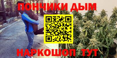 мдпв Кандалакша