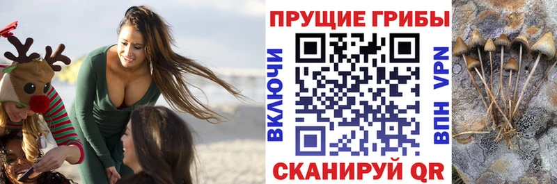 кракен ТОР  Урай  Псилоцибиновые грибы MAGIC MUSHROOMS  закладки 